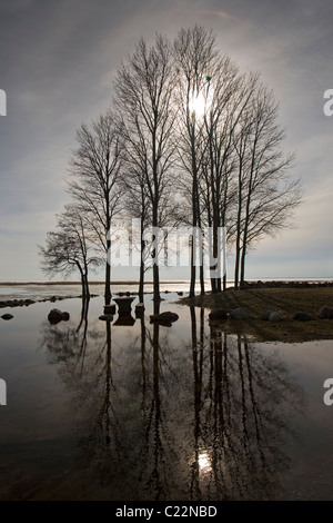 Fluss Emajõgi in Jõesuu, See Võrtsjärv, Estland Stockfoto