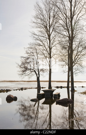Fluss Emajõgi in Jõesuu, See Võrtsjärv, Estland Stockfoto
