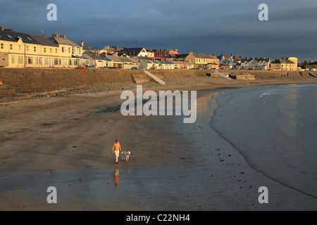 Mann mit Hund geht am Strand in Kilkee, Westküste Irlands, County Clare Stockfoto