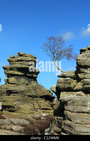 Brimham Rocks Nidderdale North Yorkshire ungewöhnliche ausgleichende Mühlstein Korn-Felsformationen Stockfoto