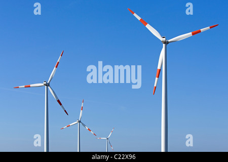 Wind trieb Pflanzen in der Nähe von Suedergellersen, Niedersachsen, Deutschland Stockfoto