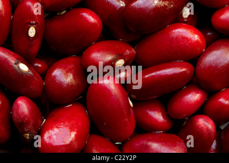 Die azuki Bean ist eine jährliche Weinstock Vigna Angularis Weit gewachsen in ganz Ostasien und in den Himalaya für seine kleine rote Bohne Stockfoto