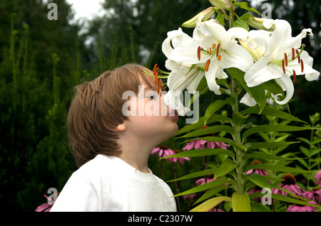 Die Blumen riechen Stockfoto