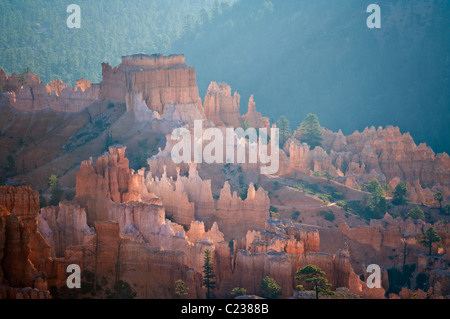 Hinterleuchtete Sandstein Hoodoos und Douglasien bei Sonnenaufgang im Bryce Canyon Amphitheater Utah USA Stockfoto