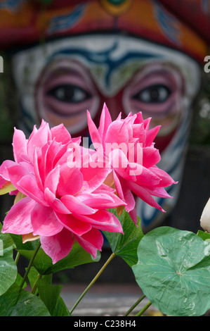 Lotusblumen an Haw Par Villa, die ungewöhnliche orientalische Themengärten, ehemals der Tiger Balm Gardens in Singapur Stockfoto