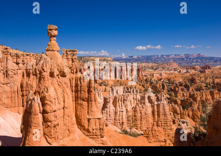Bryce Canyon National Park Thor's Hammer and Sandstone Hoodoos in Bryce Canyon Amphitheater Utah USA Vereinigte Staaten von Amerika