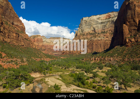 Virgin River fließt durch den Zion National park, Utah USA Stockfoto