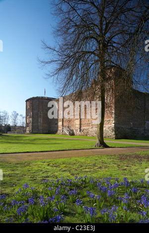 Schlossmuseum Colchester Essex Großbritannien England Stockfoto