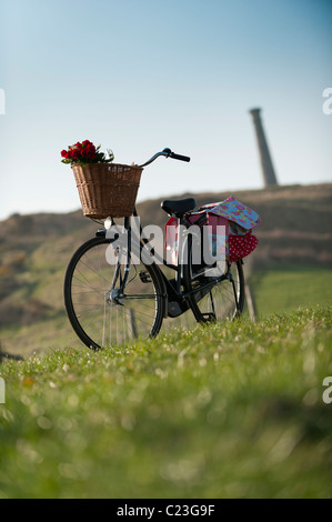 ein altes altmodische "sitzen und betteln" Fahrrad mit Whicker Korb voller Rosesstanding in einem Feld, UK Stockfoto