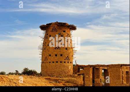 Taubenschlag oder Taubenschlag in der Stadt Siwa, westliche Wüste, Ägypten Stockfoto