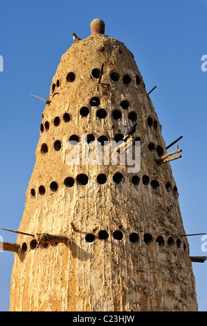 Taubenschlag oder Taubenschlag in der Stadt Siwa, westliche Wüste, Ägypten Stockfoto