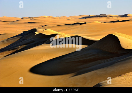 Dünen in das große Sandmeer, westliche Wüste (libysche Wüste), Ägypten Stockfoto
