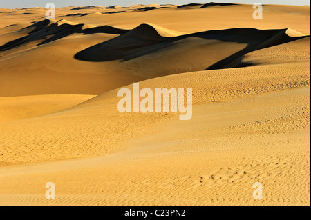 Dünen in das große Sandmeer, westliche Wüste (libysche Wüste), Ägypten Stockfoto