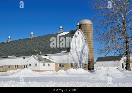 Einen mittleren Westen Winter scene als schwere Schnee bauen um eine Scheune auf einer Illinois Dairy Farm. South Elgin, Illinois, USA. Stockfoto