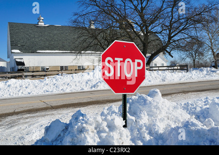 Schwere Schneefälle und Schneeverwehungen umliegenden ländlichen Stoppschild entlang eines Landes Fahrbahn. South Elgin, Illinois, USA. Stockfoto