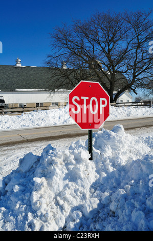 Schwere Schneefälle und Schneeverwehungen umliegenden ländlichen Stoppschild entlang eines Landes Fahrbahn. South Elgin, Illinois, USA Stockfoto