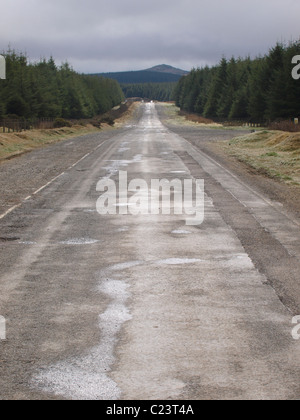 Landstraße durch Davidstow Holz, Bodmin Moor, Cornwall, UK Stockfoto