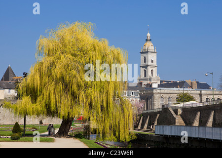 Weeping Willow Tree in The Jardin des Remparts, Vannes, Morbihan, Bretagne, Frankreich, Europa Stockfoto