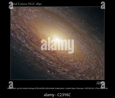 Majestätische Scheibe von Sternen Hubble Space Telescope offenbart und Staub Gassen in dieser Ansicht der Spiralgalaxie NGC 2841 Stockfoto