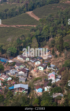 Ein Dörfchen, eingehüllt von Teeplantagen in Darjeeling, Westbengalen, Indien. Stockfoto