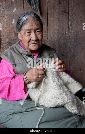 Frau Samde, im Alter von 75 Jahren in 2010 CE, stricken Wolle an den tibetischen Flüchtlingen Selbsthilfe Zentrum in Darjeeling, Westbengalen, Indien. Stockfoto