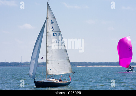 Texoma Sailing Club Icebreaker 3, dritte Segelregatta 2011. Stockfoto