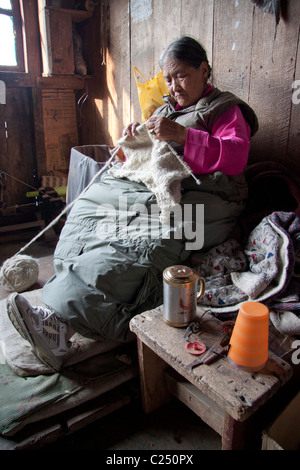 Frau Samde, im Alter von 75 Jahren in 2010 CE, stricken Wolle an den tibetischen Flüchtlingen Selbsthilfe Zentrum in Darjeeling, Westbengalen, Indien. Stockfoto