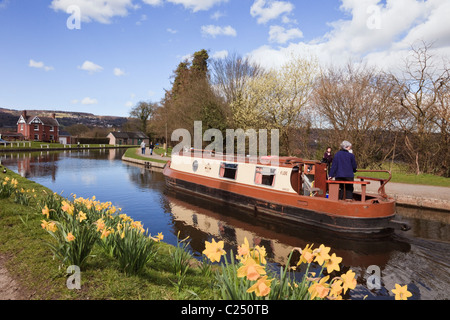 15-04 Segeln auf dem Llangollen-kanal mit Narzissen im Frühjahr. Froncysyllte, Wrexham, North Wales, UK, Großbritannien. Stockfoto