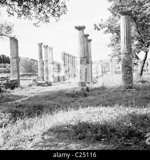 Griechenland der 1950er Jahre.  Blick auf einige von den antiken Ruinen von der Palestra bei Olympia. Stockfoto