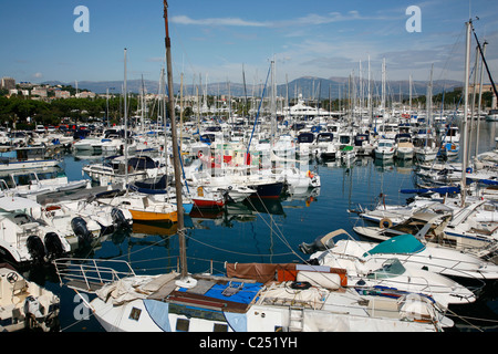 Yachten und Boote im Hafen Vauban, Antibes, Alpes Maritimes, Provence, Frankreich. Stockfoto