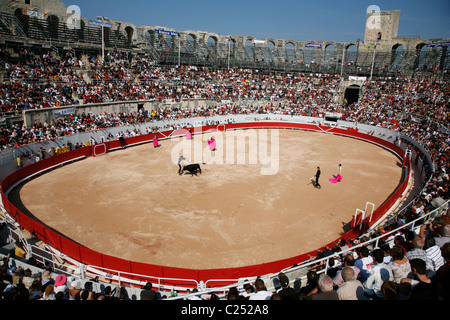 Stierkampf in der Les Arènes Roman Arena während der Feria du Riz, Reis-Festival, Arles, Provence, Frankreich. Stockfoto