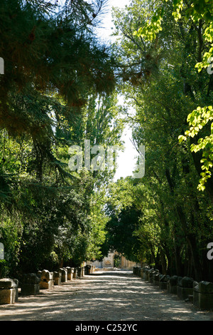 Les Alyscamps, Arles, Provence, Frankreich. Stockfoto