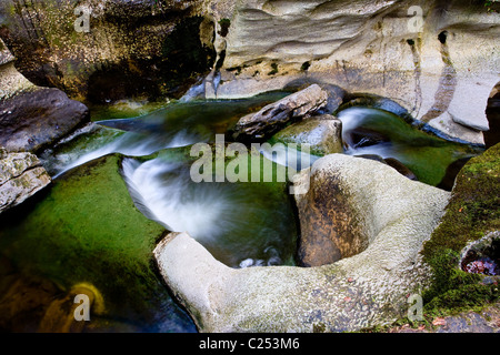 Wie einem Schlucht, in der Nähe von Pateley Bridge, Nidderdale, Yorkshire Dales Stockfoto