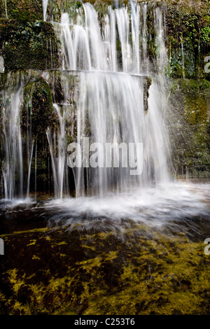 Wasserfall, Fluss Nidd nahe Lofthouse, obere Nidderdale, Yorkshire Dales Stockfoto