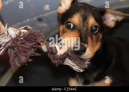 Geben nicht auf EVER! Stockfoto