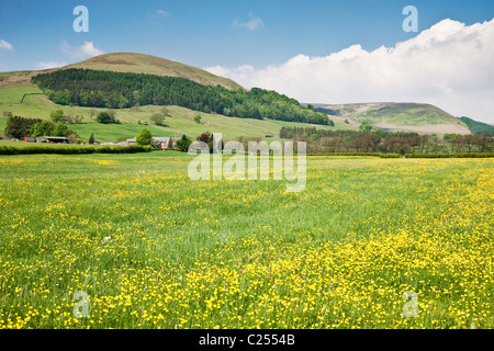 Blick auf Totridge in den Wald von Bowland, Lancashire, England, UK Stockfoto