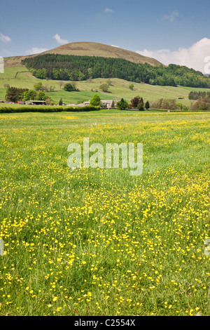 Blick auf Totridge in den Wald von Bowland, Lancashire, England, UK Stockfoto