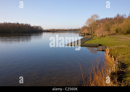 Blick über Daneshill Seen lokale Naturschutzgebiet am Retford Stockfoto