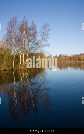 Blick über Daneshill Seen lokale Naturschutzgebiet am Retford Stockfoto