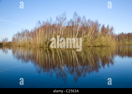 Blick über das Wasser im Daneshill Seen lokale Naturreservat an Retford Stockfoto