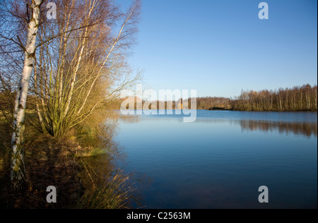 Blick über das Wasser im Daneshill Seen lokale Naturreservat an Retford Stockfoto