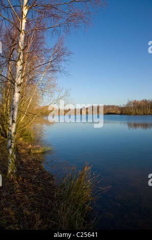 Blick über das Wasser im Daneshill Seen lokale Naturreservat an Retford Stockfoto