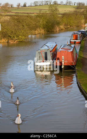 Schwäne und Lastkahn auf Foxton sperrt betrachtet von Rainbow Bridge entlang der Grand Union Canal bei Foxton Stockfoto