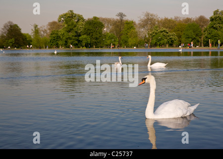 Runden Teich in den Kensington Gardens Stockfoto