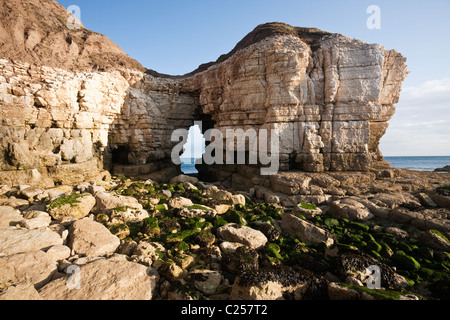 Kreide Bogen am Thornwick Bay, Flamborough, East Yorkshire Stockfoto