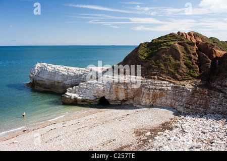 Ein Schwimmer trotzt der kalten Meeren bei Thornwick Bay, Flamborough, East Yorkshire Stockfoto