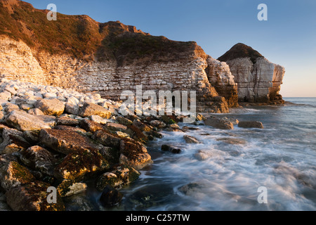 Morgendämmerung am Thornwick Bay, Flamborough, East Yorkshire Stockfoto