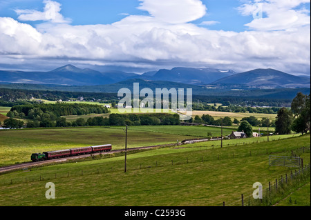 Dampfmaschine Braeriach hat in Broomhill Station auf der Strathspey Railway vom Boot von Garten mit Cairngorm Mountains im Hintergrund angekommen Stockfoto