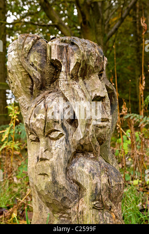 Holz-Skulptur an der Caley-Klippen im Chevin Forest Park Stockfoto