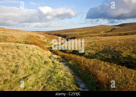 Die Bronte-Weg in Richtung Top Withins mit Blick auf Haworth Moor auf South Dean Beck Stockfoto